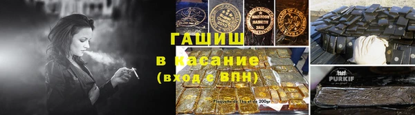 спиды Вяземский