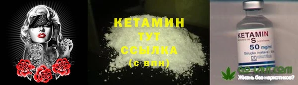 спиды Вяземский