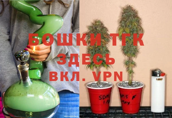 шишки Горнозаводск