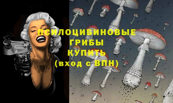 спиды Вяземский
