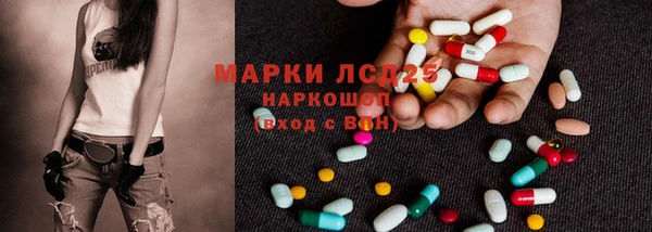 спиды Вяземский