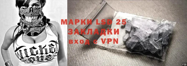 спиды Вяземский