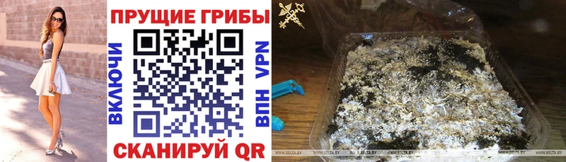 Псилоцибиновые грибы GOLDEN TEACHER  Обоянь 